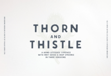 Thorn & Thistle Sans