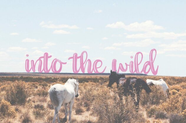 A Willow Font Poster 3