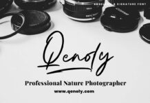 Abselhon handwritten signature font Poster 1