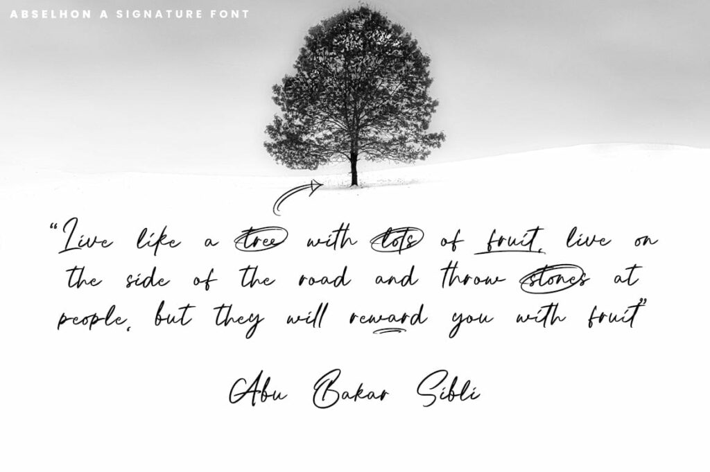 Abselhon handwritten signature font Poster 6