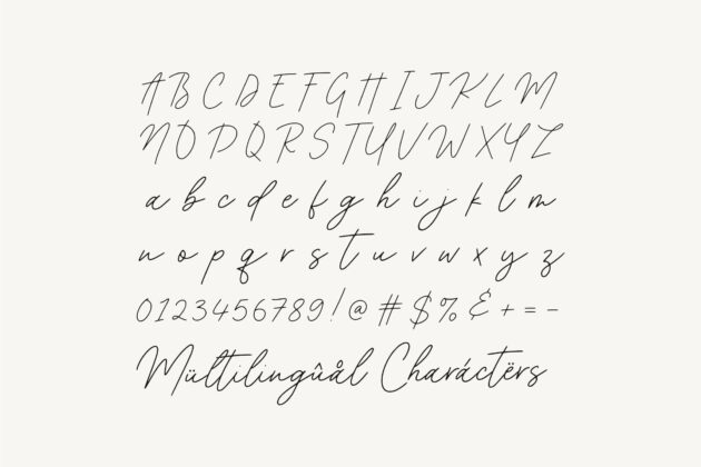 Acoustica Monoline Handwritten Font Poster 4