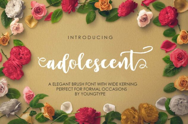 Adolescant script Poster 2