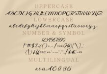 Agatha Handwritten Font Poster 1