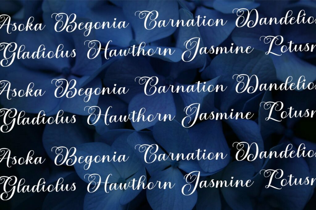 Agnesia Poster 8