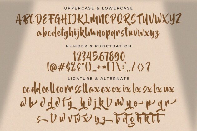 Akidan Hatory - Bold Script Font Poster 8