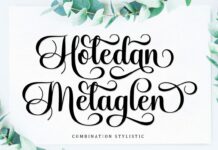 Aladine Lovely Script Font Poster 1