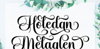 Aladine Lovely Script Font Poster 1