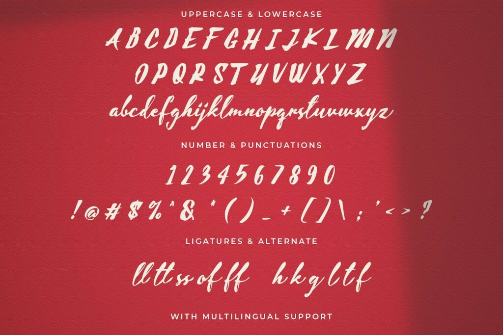 Aline - Handwritten Font Poster 4