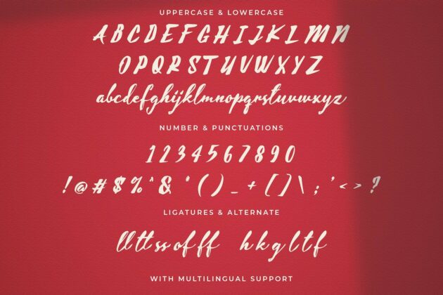 Aline - Handwritten Font Poster 4