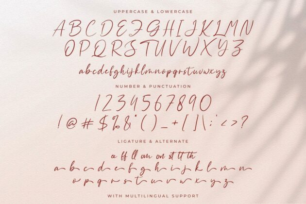 Aliya Ramsey - Handwritten Font Poster 4