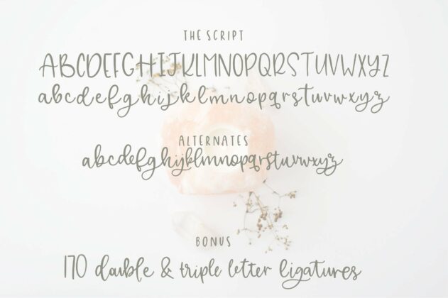Alley Font Duo Poster 4