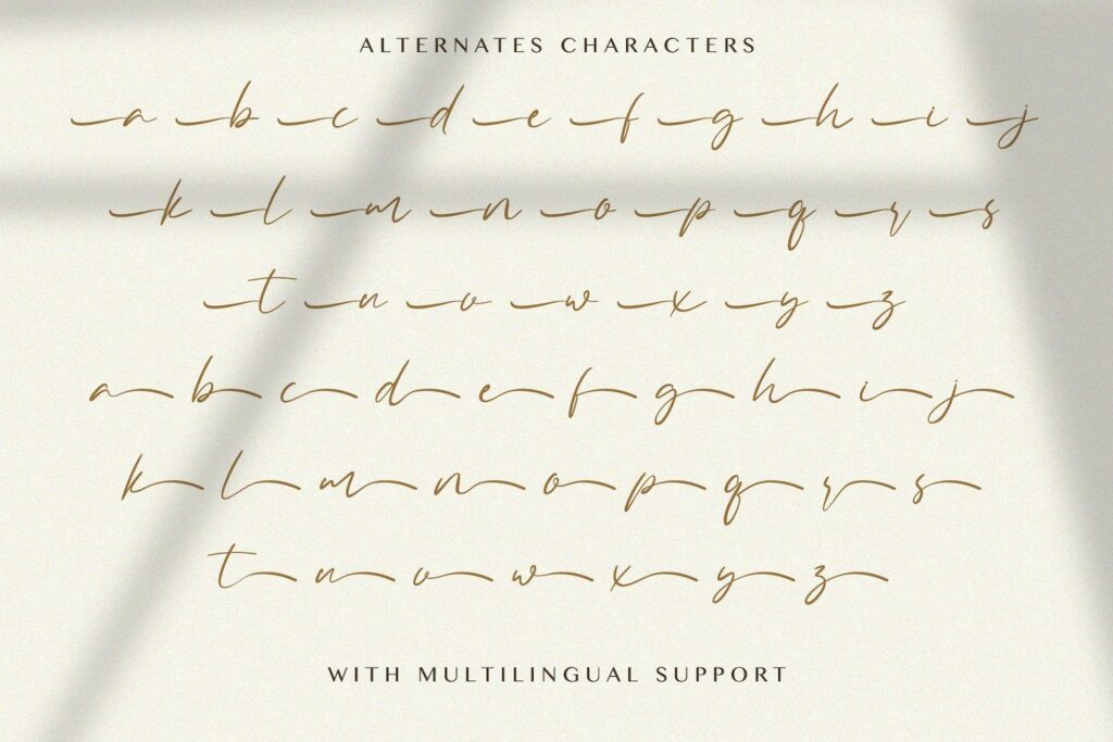 Allezia Sttacy - Handwritten Font Poster 3
