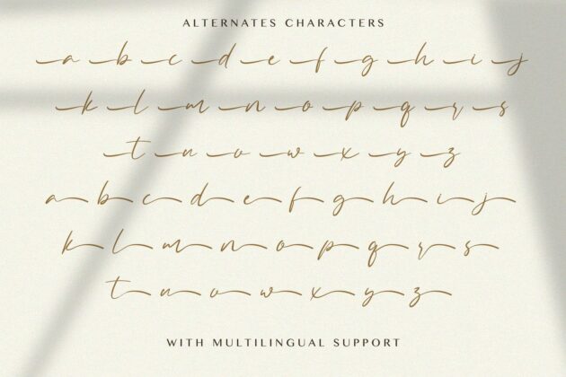 Allezia Sttacy - Handwritten Font Poster 3