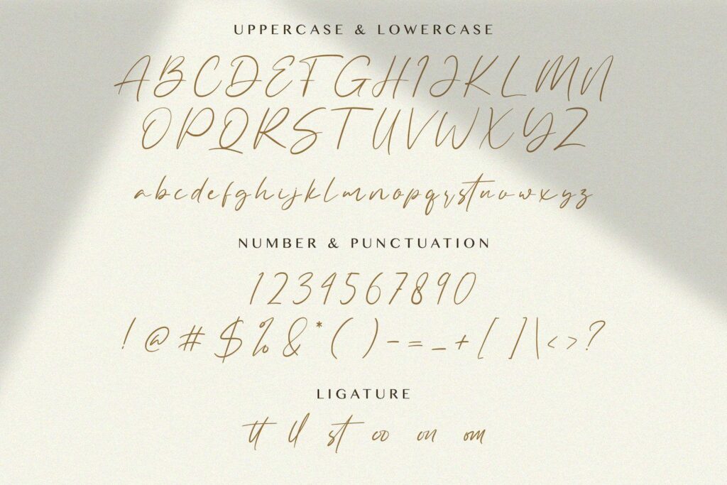 Allezia Sttacy - Handwritten Font Poster 5