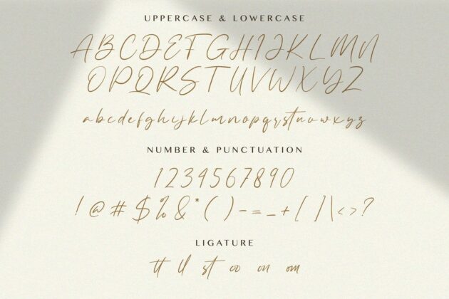 Allezia Sttacy - Handwritten Font Poster 5