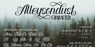 Allysondust Poster 1
