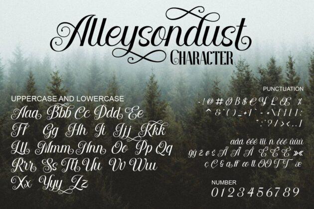 Allysondust Poster 1