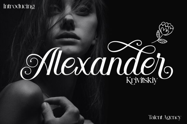 Allysondust Poster 4