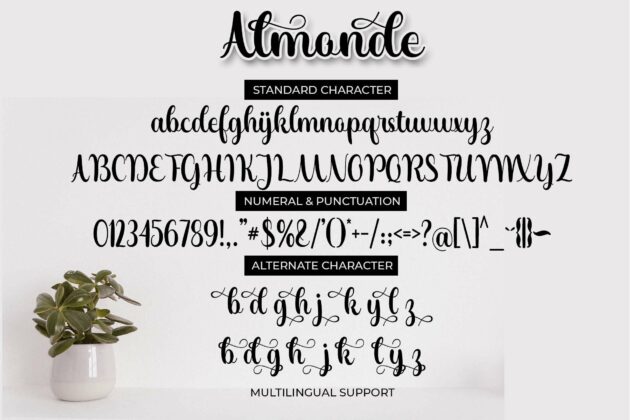 Almonde Poster 8