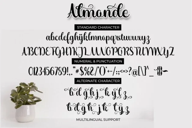 Almonde Poster 8