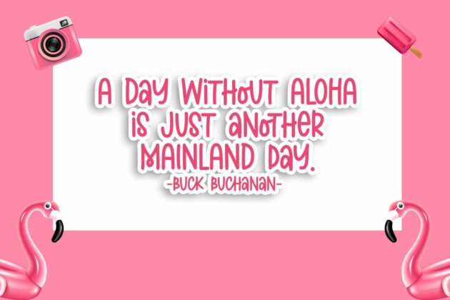 Aloha Lover Font Poster 4