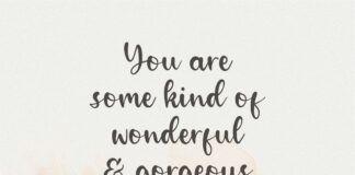 Alpinet Lovely Handwritten Font Poster 1