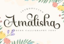 Amalisha Poster 1