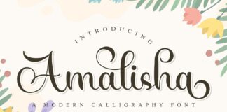 Amalisha Poster 1