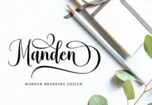 Amedina Script Font Poster 1