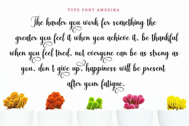 Amedina Script Font Poster 3