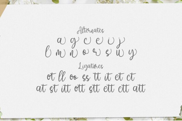 Amelia Sani - Handwritten Font Poster 6