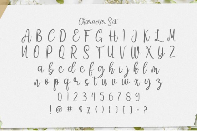 Amelia Sani - Handwritten Font Poster 8