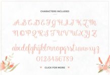 Amelia Script Poster 1