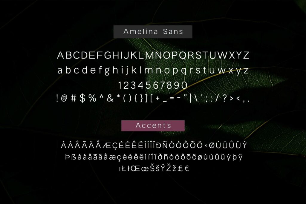 Amelina Font Duo Poster 4