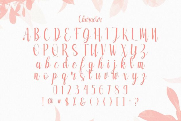 Ameliya - Handwritten Font Poster 2