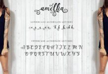 Amellia Beauty Script Poster 1