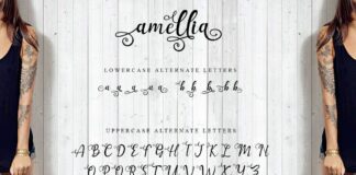 Amellia Beauty Script Poster 1
