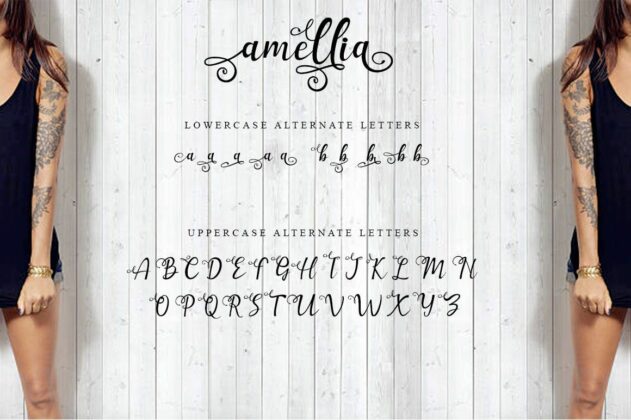 Amellia Beauty Script Poster 1