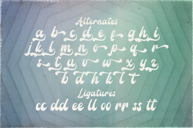 Amigos Script - Retro Bold Script Font Poster 9