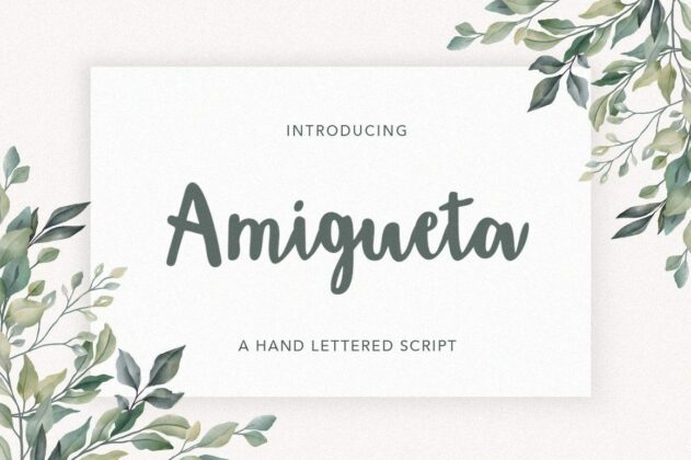 Amigueta Script Poster 5