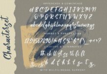 Amy Riyas - Textured Brush Font Poster 1
