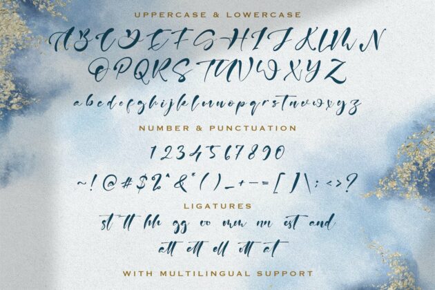 Anasteziya - Calligraphy Font Poster 6