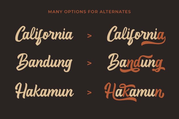 Anboug - Bold Handwritten Font Poster 5