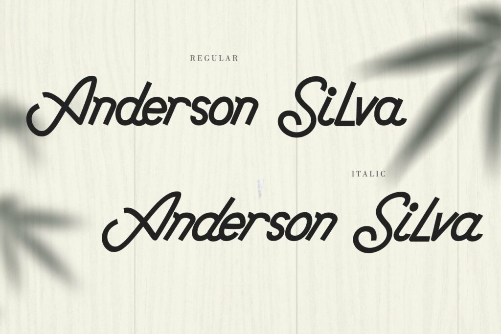 Anderson Silva Poster 1