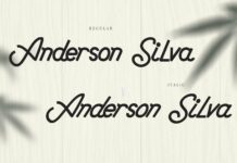 Anderson Silva Poster 1