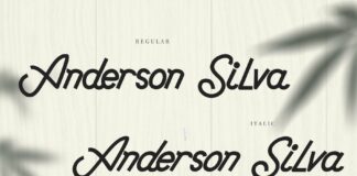 Anderson Silva Poster 1