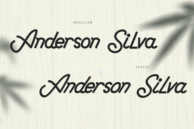 Anderson Silva Poster 1