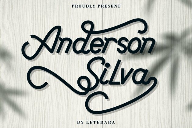 Anderson Silva Poster 5
