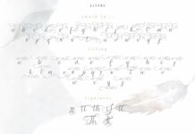 Andora Poster 1