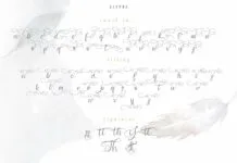 Andora Poster 1